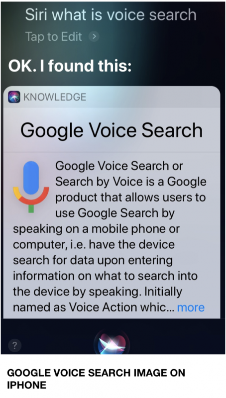 Voice Search on iPhone